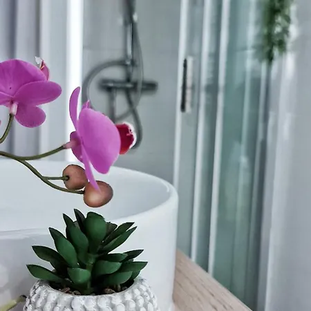 N1-terrasse - Barbacane - Pieds Cite - Clime Mobile